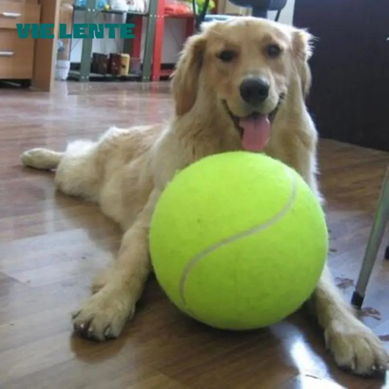 Extra große Tennisball für Hunde Karnz