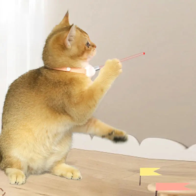 Freesthetic Laser-Kragen für Katzen Karnz