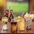 Bamboo To-Go Glas Karnz