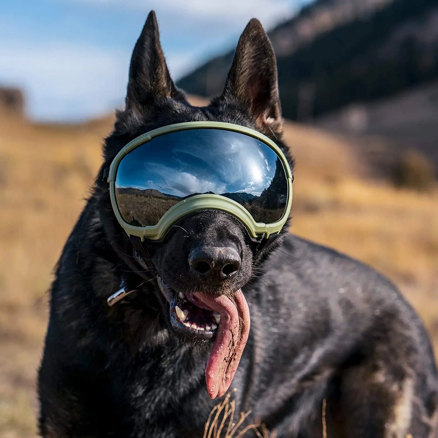 Hunde-Sonnenbrille mit UV-Schutz winddicht verstellbar Karnz
