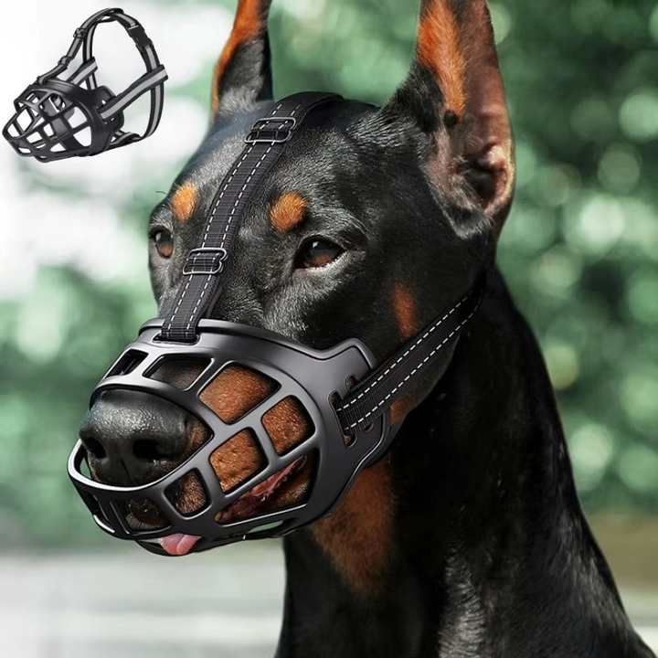 GuardPaw — Endlich sorgenfrei und sicher jede Gassi-Runde genießen | Karnz