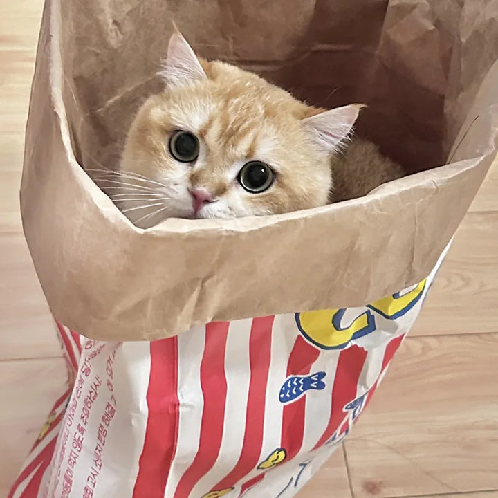 Hide and Seek Kraftpapier-Spielzeug für Hunde & Katzen Karnz