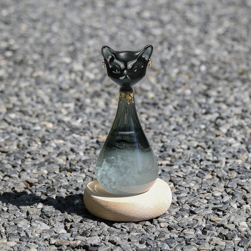 Kat-inspirierte Wettervorhersage-Flasche | Karnz
