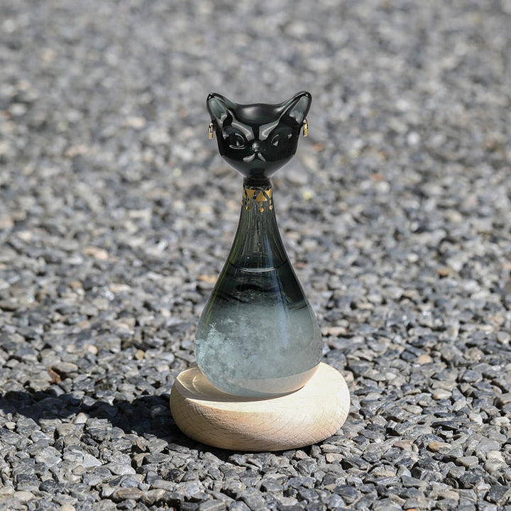 Kat-inspirierte Wettervorhersage-Flasche | Karnz