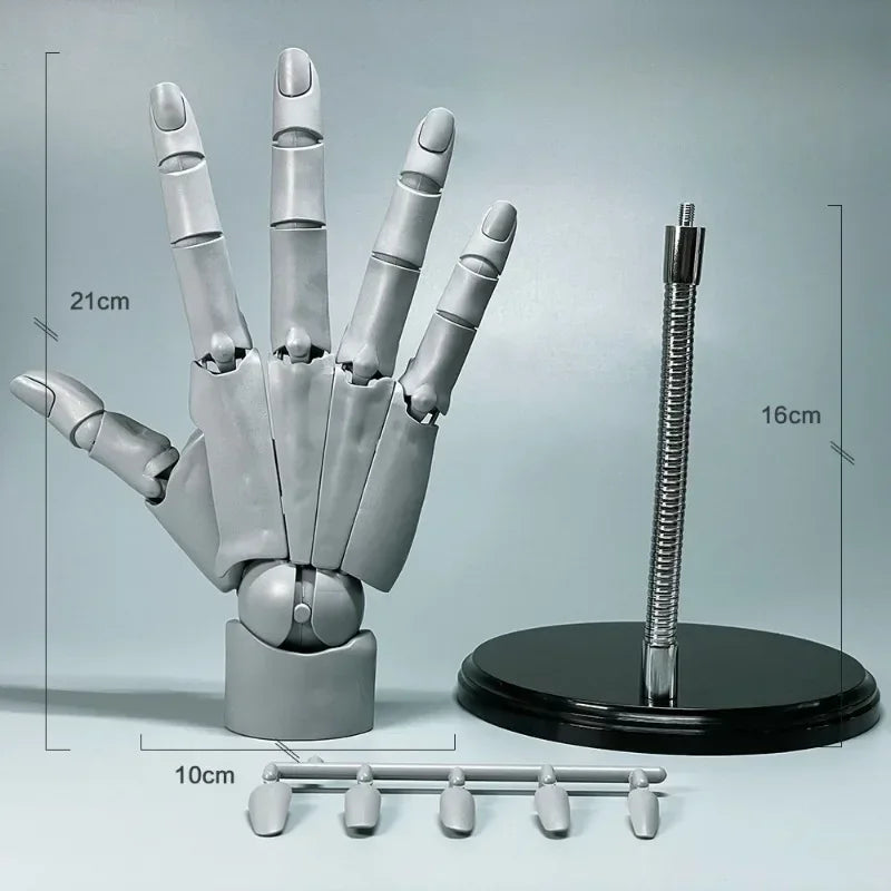 Multi-Pose Zeichen Skulptur Kunst Hand Modell | Karnz