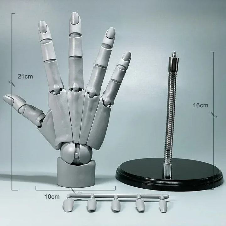 Multi-Pose Zeichen Skulptur Kunst Hand Modell | Karnz
