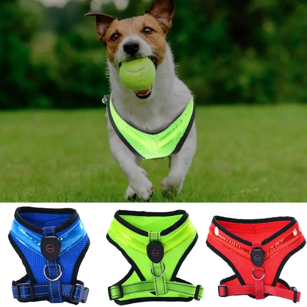 LED Hundegeschirr USB wiederaufladbar & verstellbar Karnz