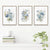 Minimalistische Wilde Wiesenblumen Aquarell Wandkunst Fein Kunst Leinwanddrucke Botanische Poster Bilder Für Wohnzimmer Wohnkultur | Karnz