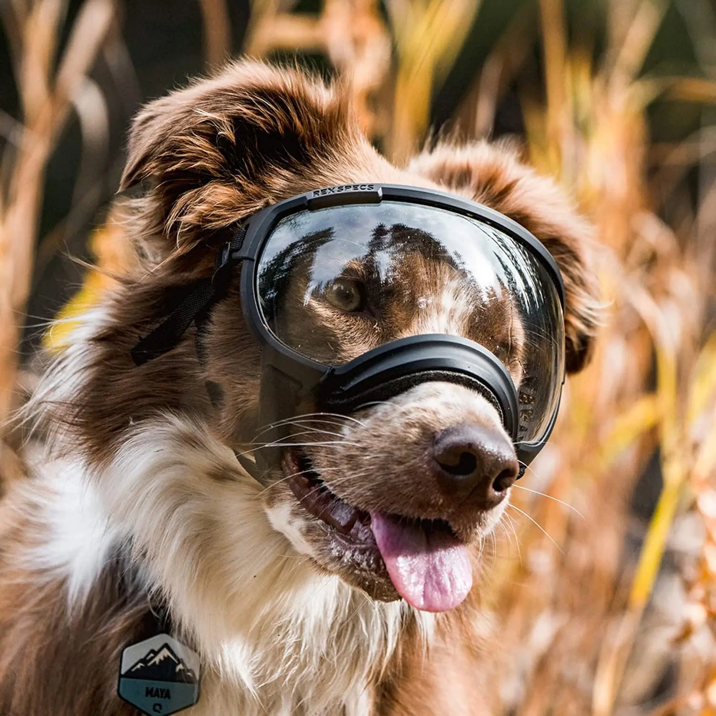 Hunde-Sonnenbrille mit UV-Schutz winddicht verstellbar Karnz