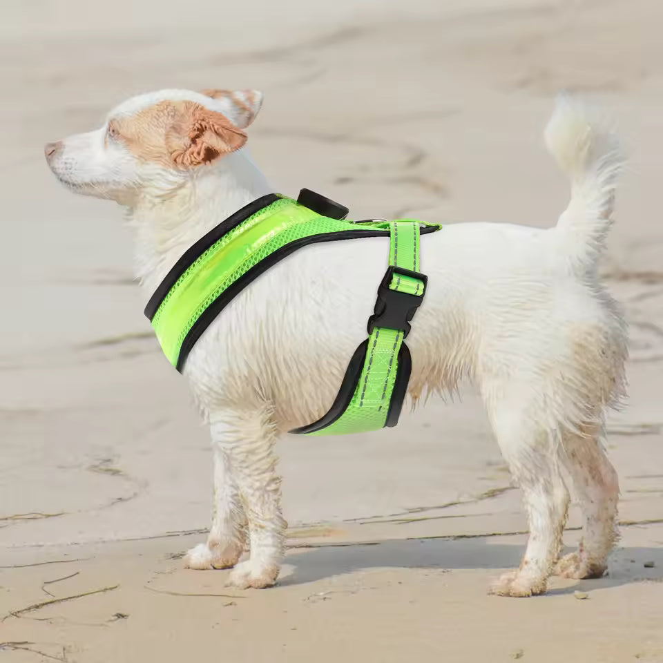 LED Hundegeschirr USB wiederaufladbar & verstellbar Karnz