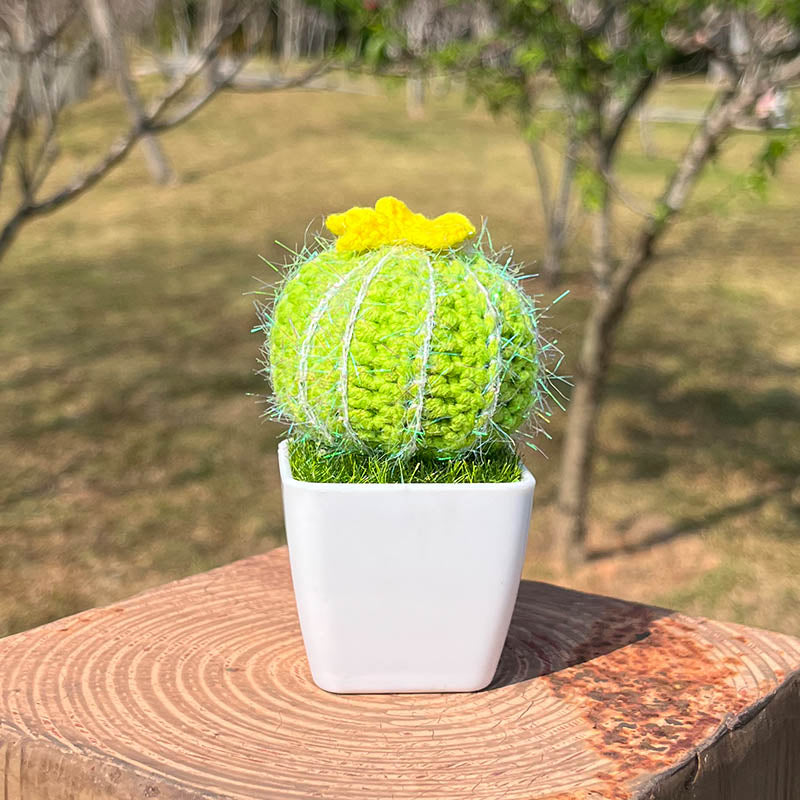 Handgestrickte Kaktee