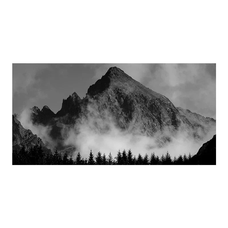 Nordlandschaften Wald Berg Wildnis Wandkunst Fine Art Leinwanddrucke Schwarz Weiß Poster Für Wohnzimmer Moderne Büros Dekor | Karnz