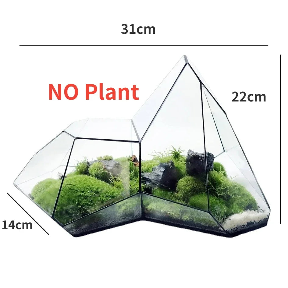 Geometric Glass Moss Planter Terrarium Vase | Karnz