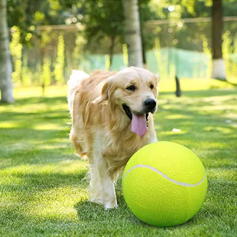 Extra große Tennisball für Hunde Karnz