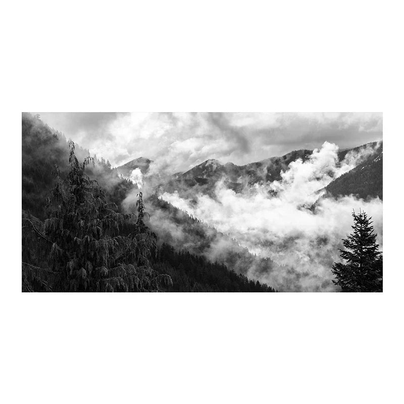 Nordlandschaften Wald Berg Wildnis Wandkunst Fine Art Leinwanddrucke Schwarz Weiß Poster Für Wohnzimmer Moderne Büros Dekor | Karnz