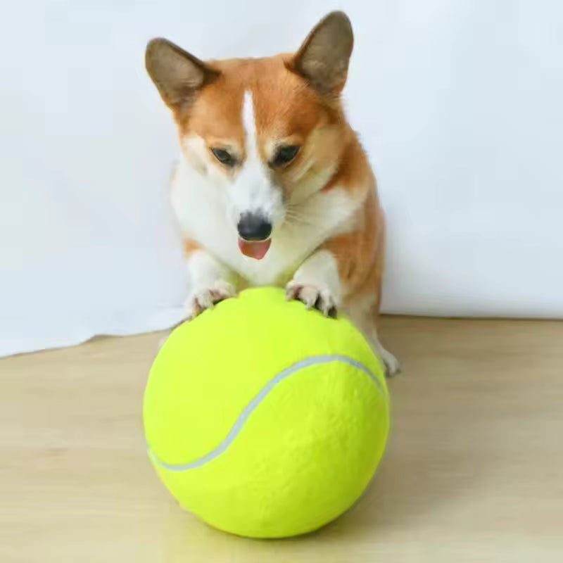 Extra große Tennisball für Hunde Karnz
