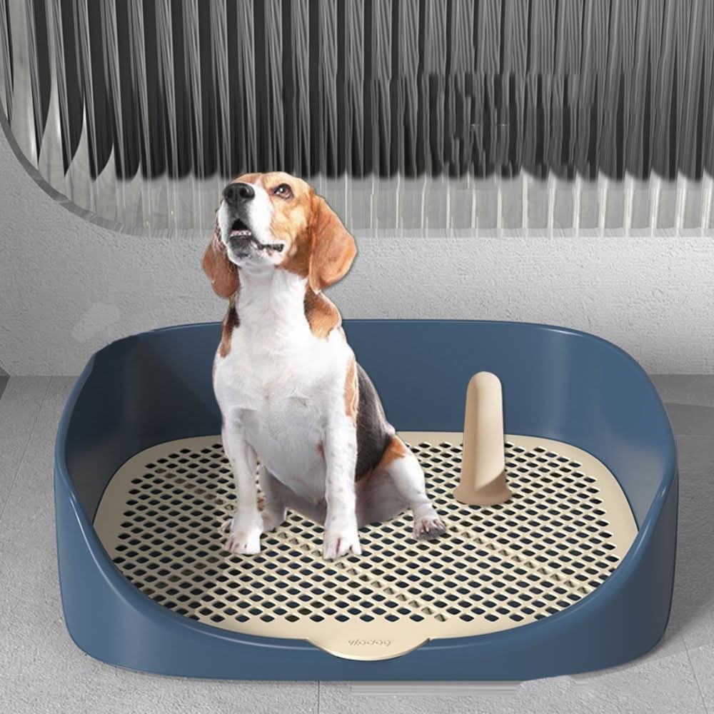 Welpen-Toilettentrainer mit Spritzschutzrand