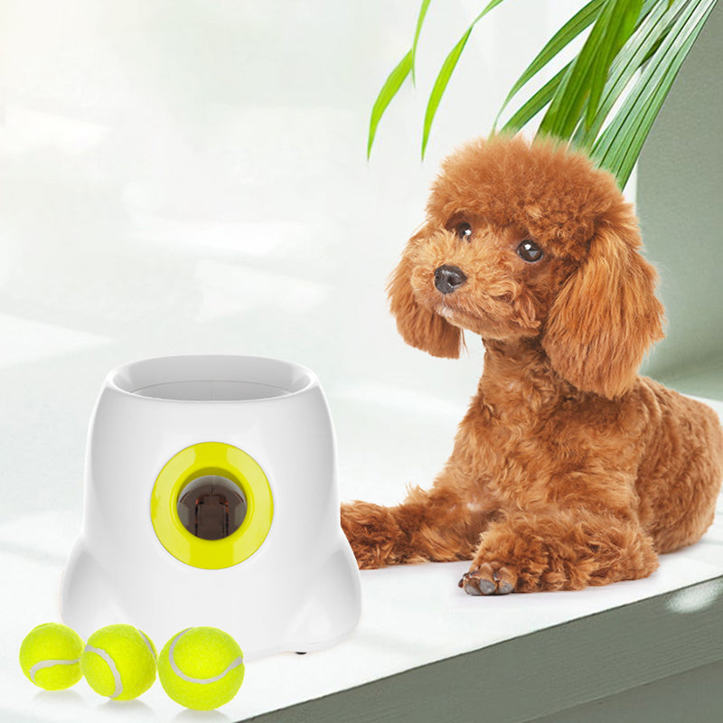 PlayBolt Automatischer Ballwerfer für Hunde | Karnz