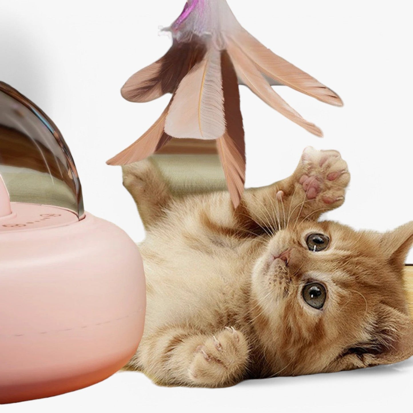 Smart Cat Laser "Hunting Light" mit Regenbogenfunktion und USB-Ladefunktion | Karnz