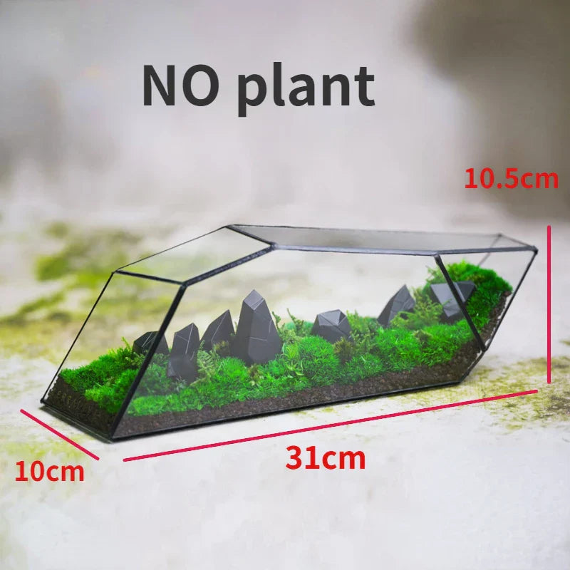 Geometric Glass Moss Planter Terrarium Vase | Karnz