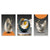 Set von 3Pcs Moderne Ästhetik Abstrakte Stillleben Wandkunst Hochwertige Leinwanddrucke Bilder für Luxus-Loftwohnung Wohnzimmer Esszimmer Kunstdekoration | Karnz