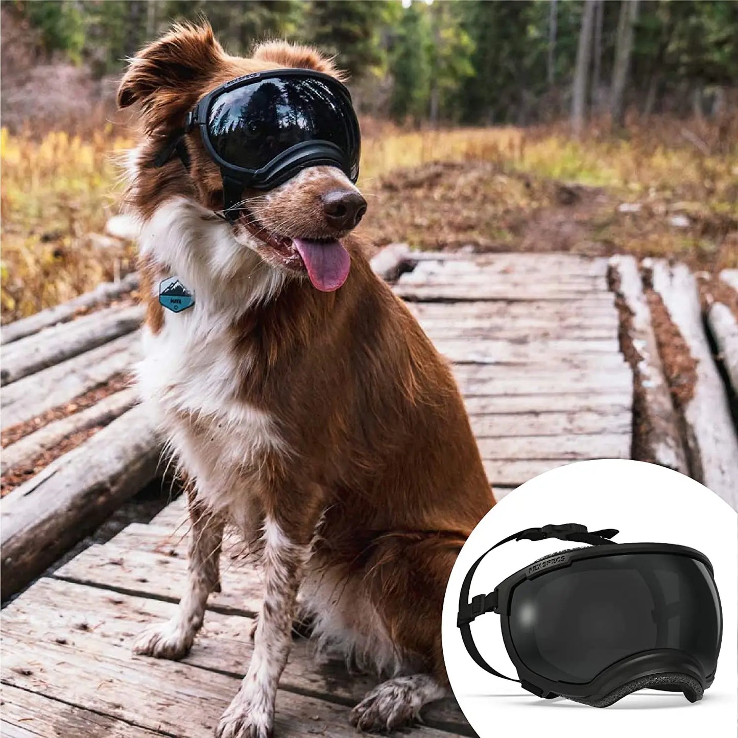 Hunde-Sonnenbrille mit UV-Schutz winddicht verstellbar Karnz