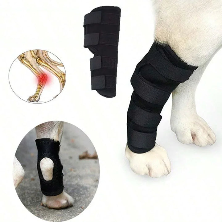 Gelenksupport für Hunde stabilisierend & schützend Karnz