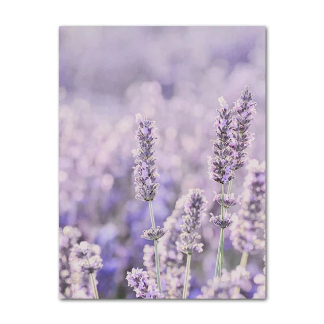 Provence Landschaft Purpur Lavendel Bilder von ruhiger Wandkunst Fine Art Leinwanddrucke Galerie Wandbilder für Wohnzimmer Kunst Dekor