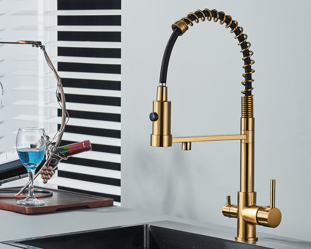 Sandsberg Schwarzer Filter-Küchenwasserhahn mit Dual-Auslauf – Mischbatterie mit Wasserfilter für Küchen, Wasseraufbereitung und Reinigung | Karnz