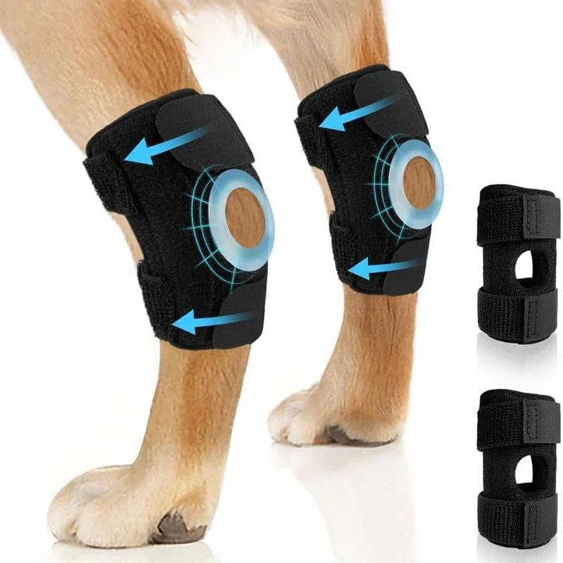 Orthopädische Gelenkstütze für Hunde stabilisierender Karnz