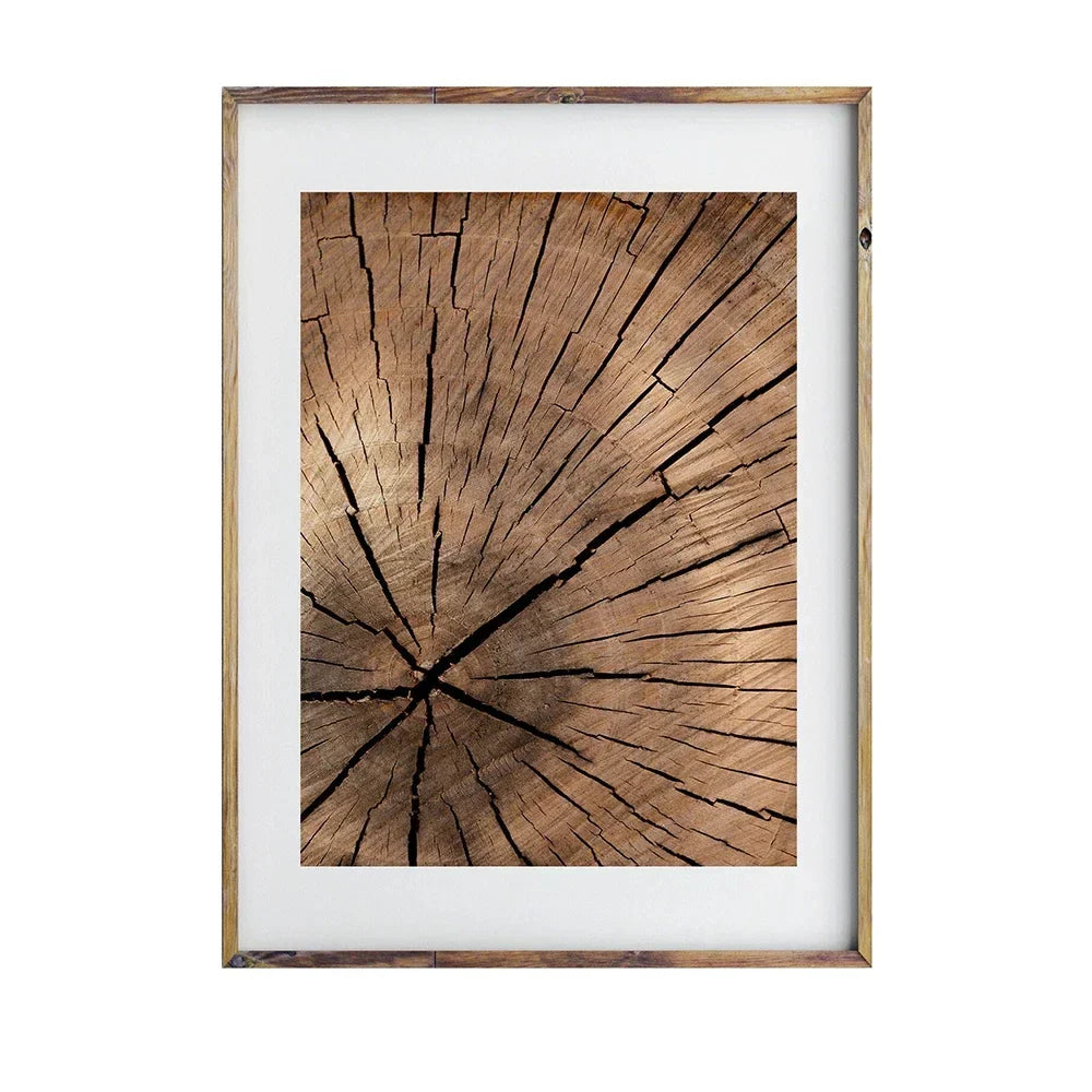 Natürliche Holzbaumring-Wandkunst-Poster, feine Kunst-Leinwanddrucke, Bilder für modernes Landhaus-Wohnzimmer, skandinavischer Stil, Wohnkultur | Karnz
