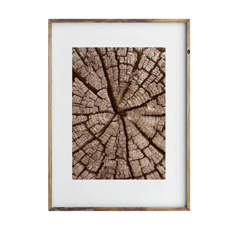 Natürliche Holzbaumring-Wandkunst-Poster, feine Kunst-Leinwanddrucke, Bilder für modernes Landhaus-Wohnzimmer, skandinavischer Stil, Wohnkultur | Karnz
