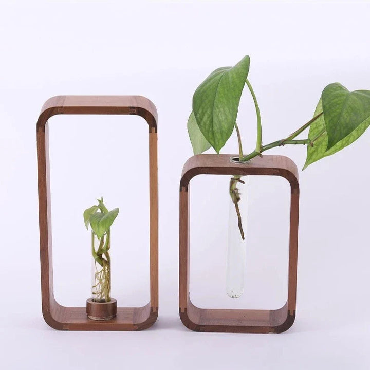 Hollow Plant Propagator Karnz
