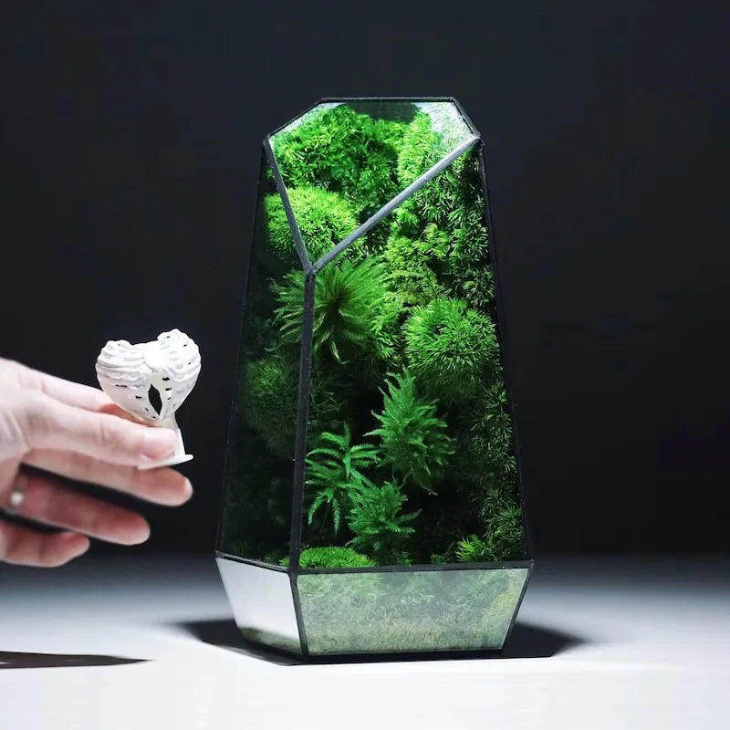 Modern Geometrische Natur-inspirierte Botanische Terrarium | Karnz