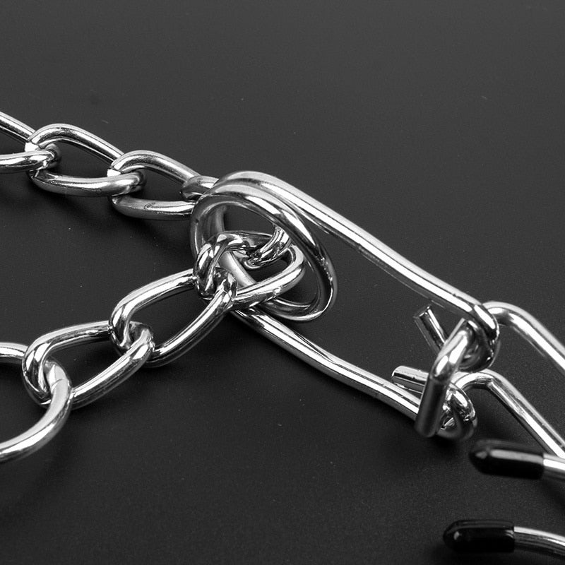 Dog Pincher Halsband - Stylisch B