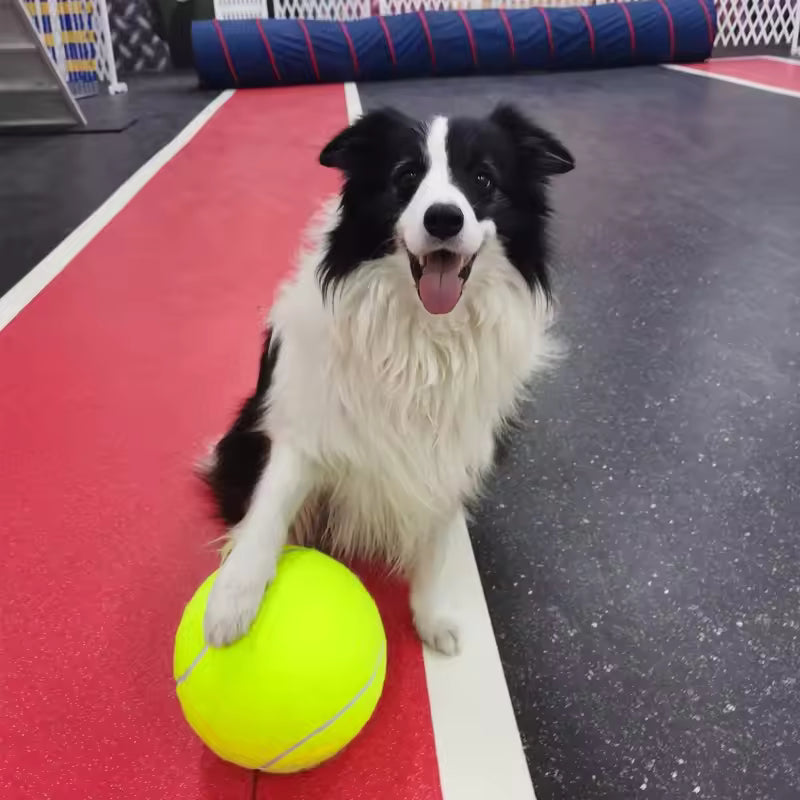 Extra große Tennisball für Hunde Karnz