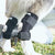 Orthopädische Gelenkstütze für Hunde stabilisierender Karnz