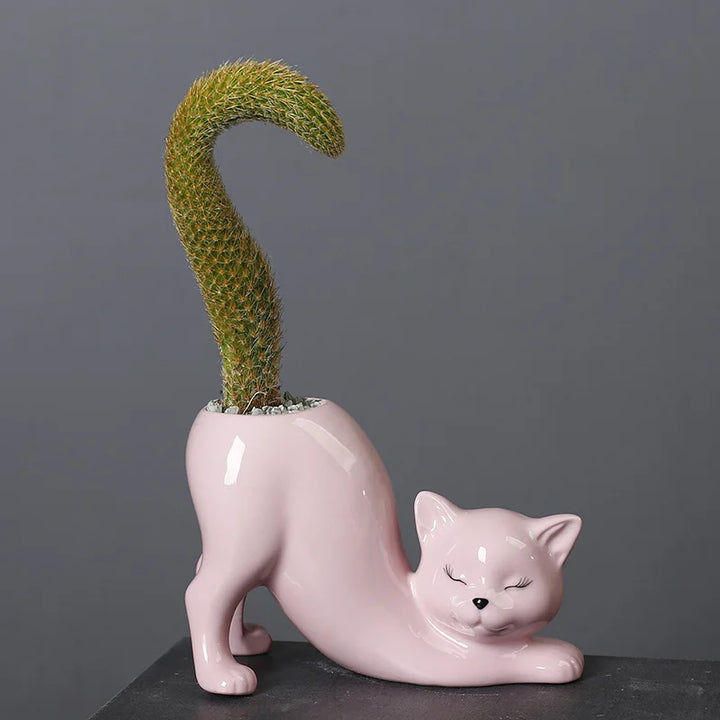 Niedlicher Katzen-Blumentopf - Glasiertes Porzellan-Sukkulenten-Planter | Karnz