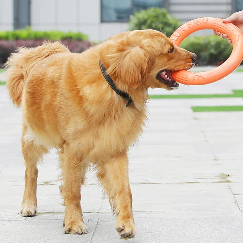 Schwebender EVA Trainingsring für Hunde Karnz