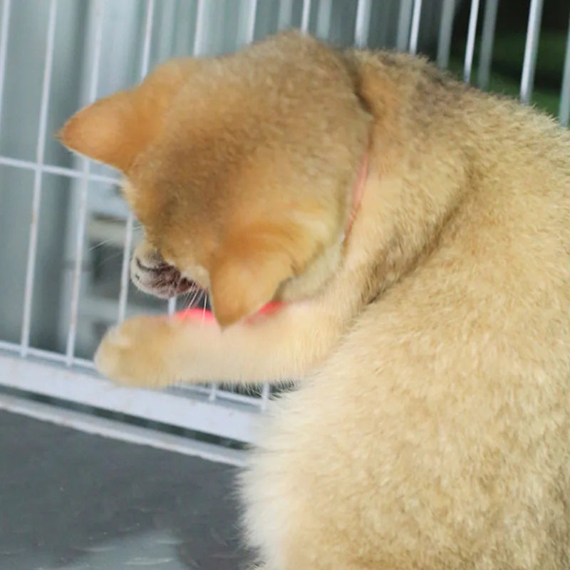Freesthetic Laser-Kragen für Katzen Karnz