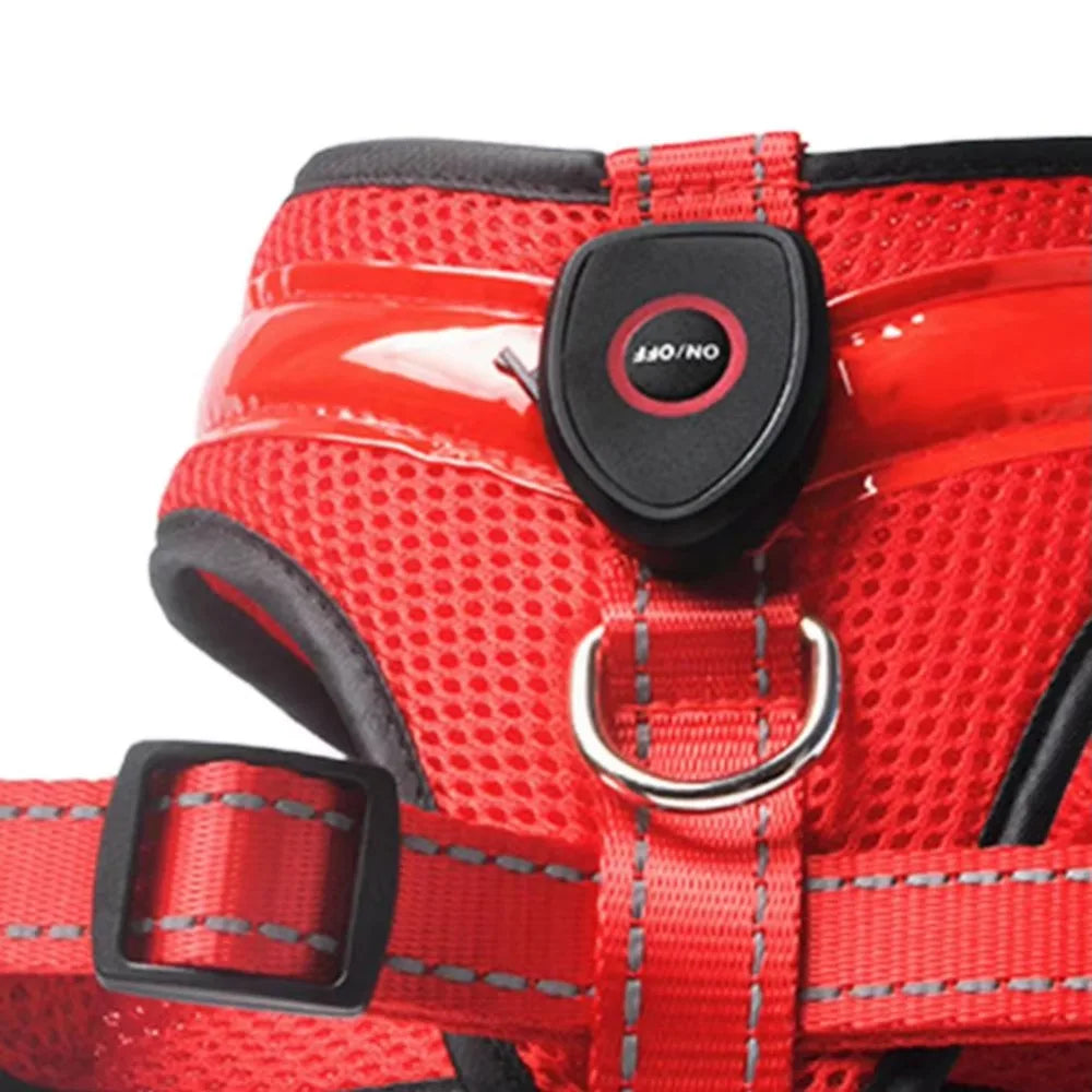 LED Hundegeschirr USB wiederaufladbar & verstellbar Karnz
