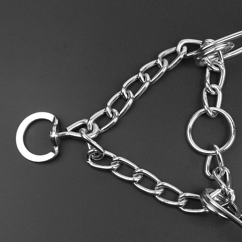Dog Pincher Halsband - Stylisch B