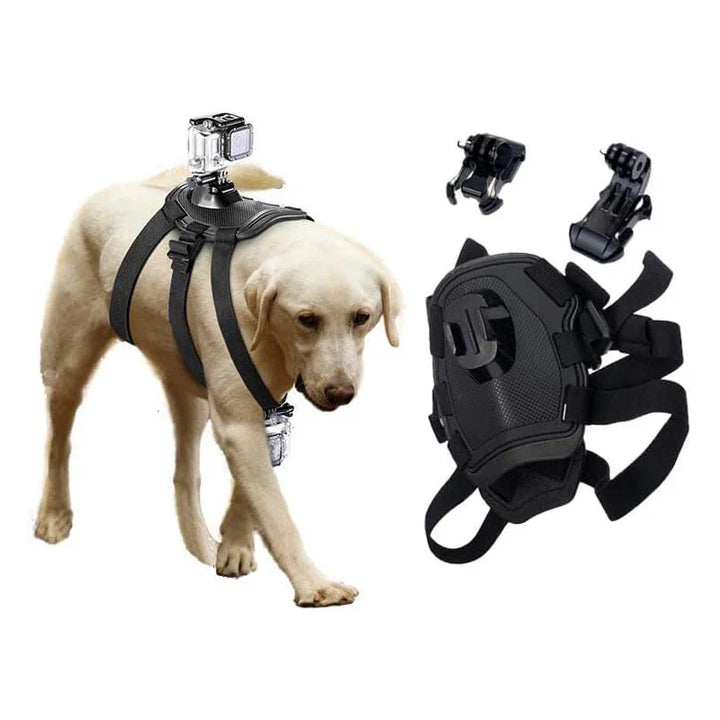Action-Cam Hundegeschirr mit 360° Perspektive Karnz