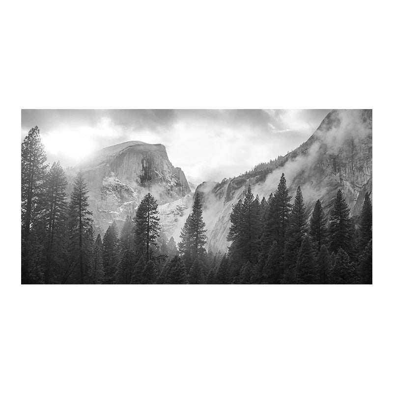 Nordlandschaften Wald Berg Wildnis Wandkunst Fine Art Leinwanddrucke Schwarz Weiß Poster Für Wohnzimmer Moderne Büros Dekor | Karnz