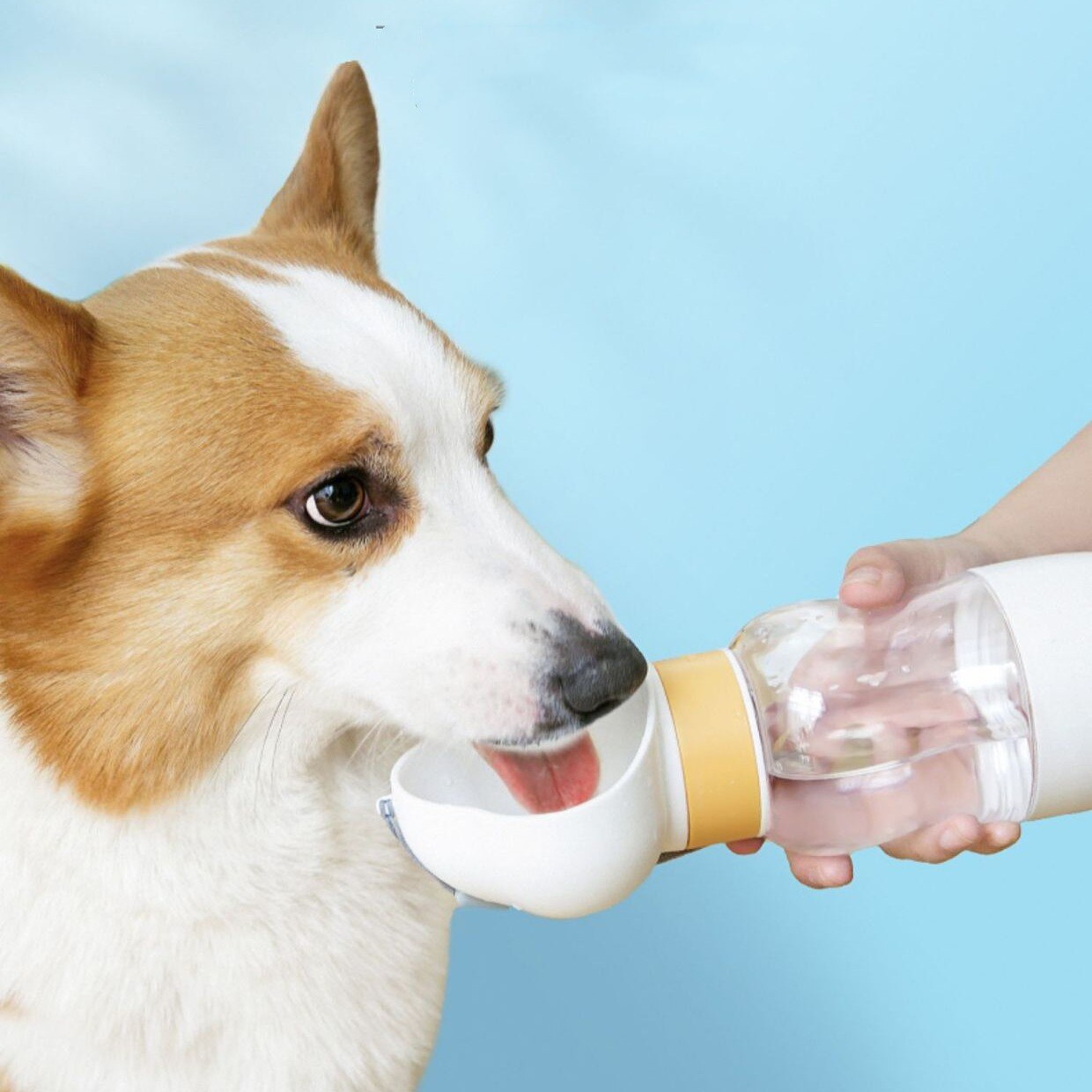 2in1 Smart Pet Tragbare Wasserflasche Futterspender | Karnz