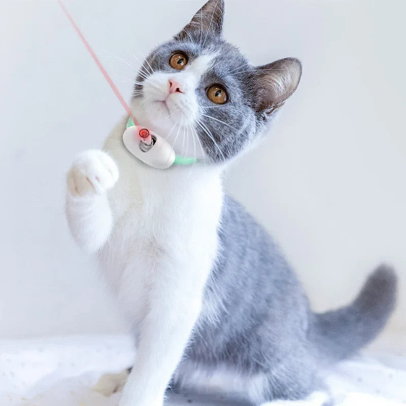 Freesthetic Laser-Kragen für Katzen Karnz