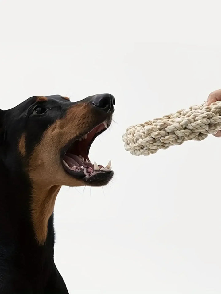 Robuste Baumwollkauerring für Hunde Karnz