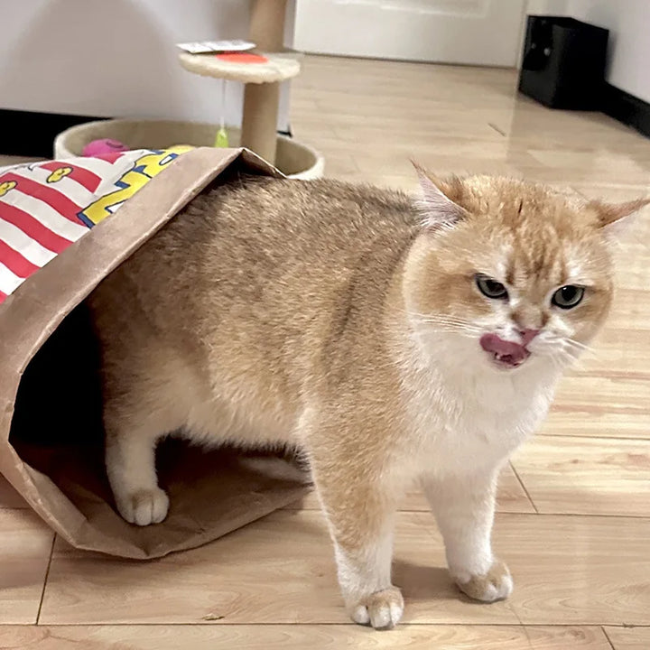 Hide and Seek Kraftpapier-Spielzeug für Hunde & Katzen Karnz