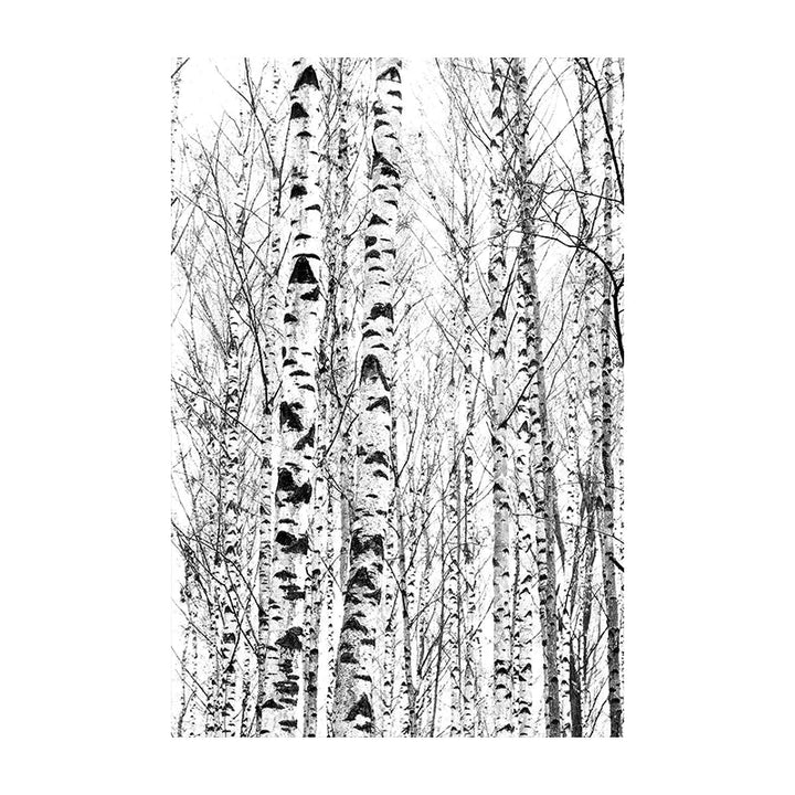 Nordische Wildnis Adler Reh Landschaft Wandkunst Fein Kunst Leinwanddrucke Bilder Für Wohnzimmer Esszimmer Nordische Heimdekoration | Karnz
