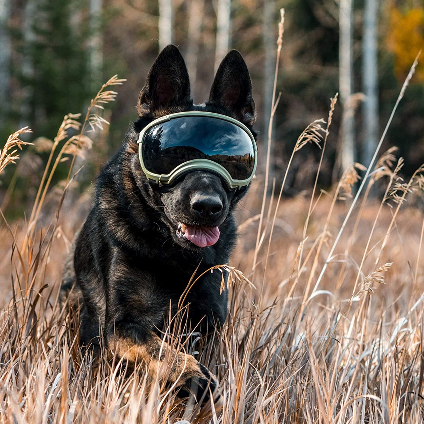 Hunde-Sonnenbrille mit UV-Schutz winddicht verstellbar Karnz